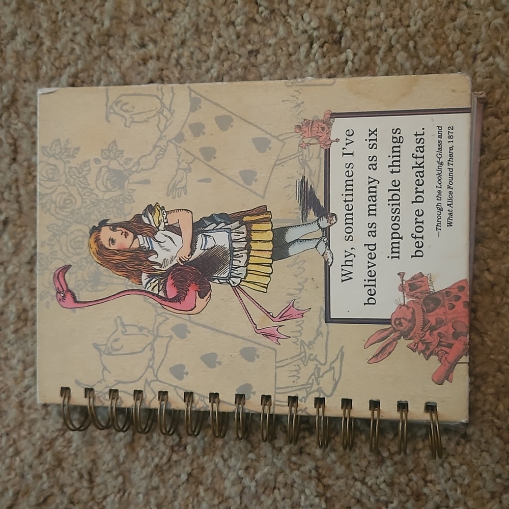 Alice in Wonderland notebook